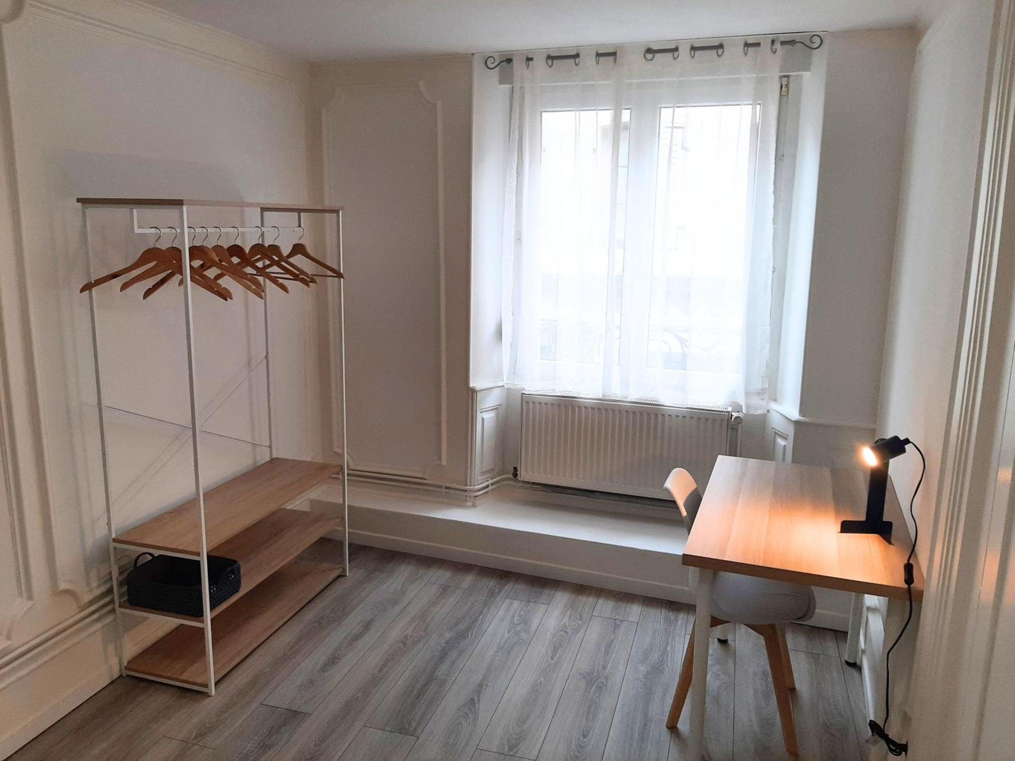 Charmant Et Spacieux Appartement Au Centre Ville - La Boheme Mulhouse Exterior photo