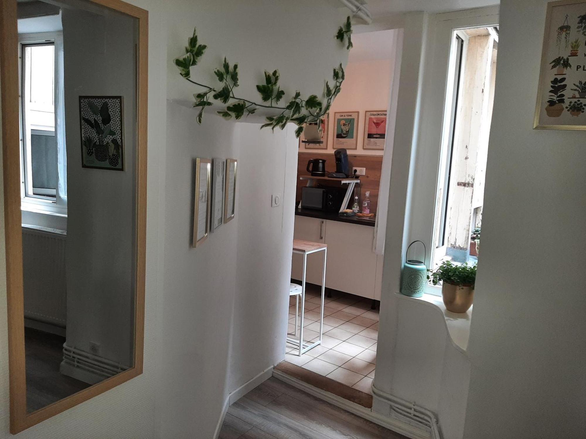 Charmant Et Spacieux Appartement Au Centre Ville - La Boheme Mulhouse Exterior photo